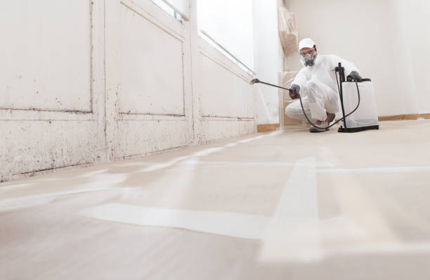 24/7 Emergency Crawl Space Mold Remediation experts in King of Prussia, PA