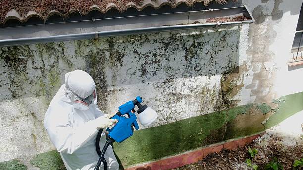 Top rated local Crawl Space Mold Remediation specialists in King of Prussia, PA